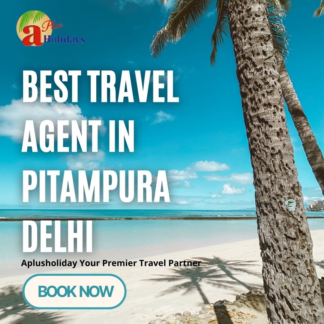 Best travel agent in pitampura delhi